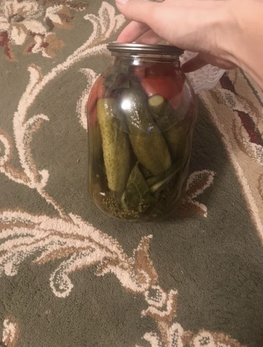 Салонина домашняя