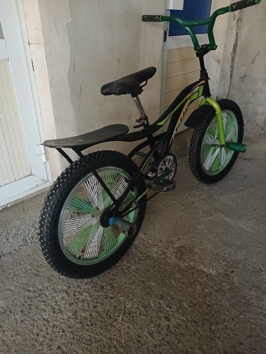 Барс велик сотилади