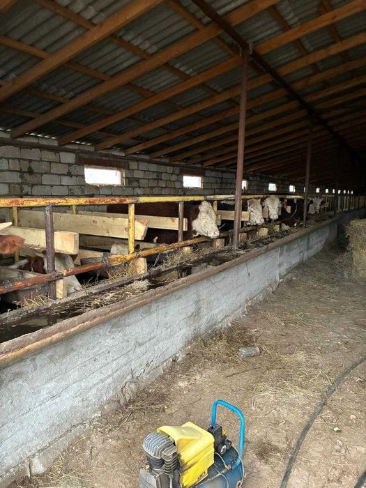 Продам действующий откормочный комплекс