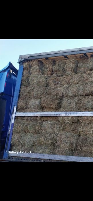 Baloti fan la TIR min 250 500 or Rotunzi 40.Lucerna sau fan>RO.Pomi