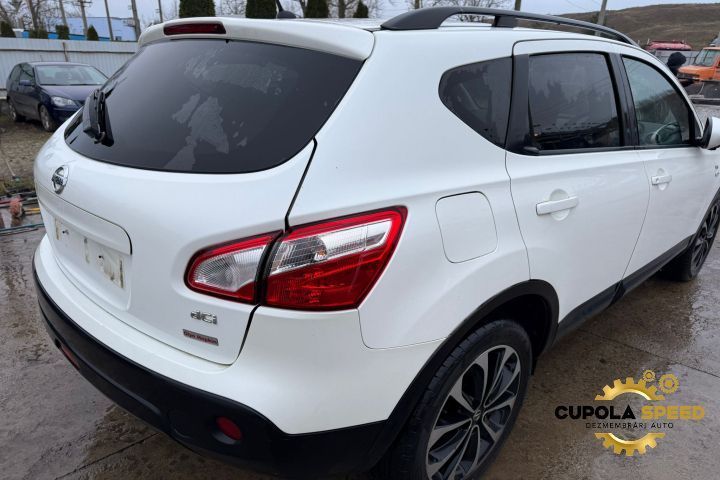 Aripa spate dreapta Nissan Qashqai 1 J10 [2007 - 2010]