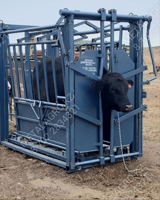 Фиксатор Раскол для КРС и лошадей