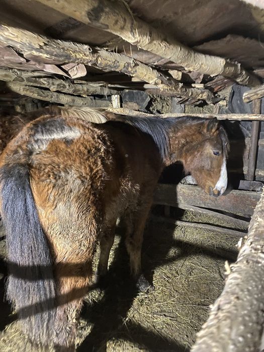 Продам 2-тай