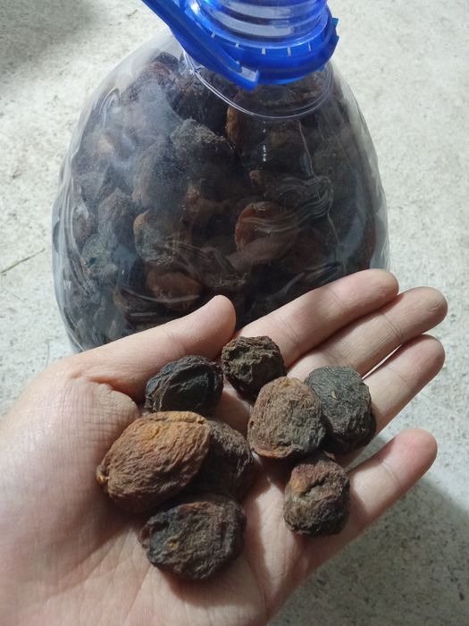 Turshak-qoqi-g'o'lin