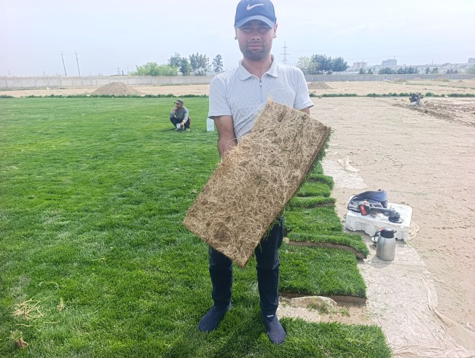 Газон икиш рулонавой йим сфатли ланшаф Gazon икиш.