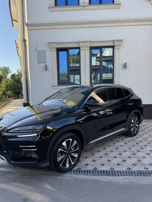 Byd chempion smart