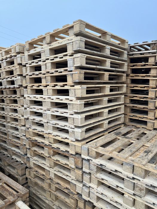 Поддон паддон paddon poddon асартимент