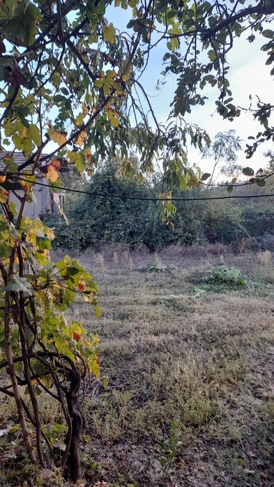 Продава се Къща в с. Михалци, Област Велико Търново - 800 кв.м за 26 €/кв.м - Снимка #5