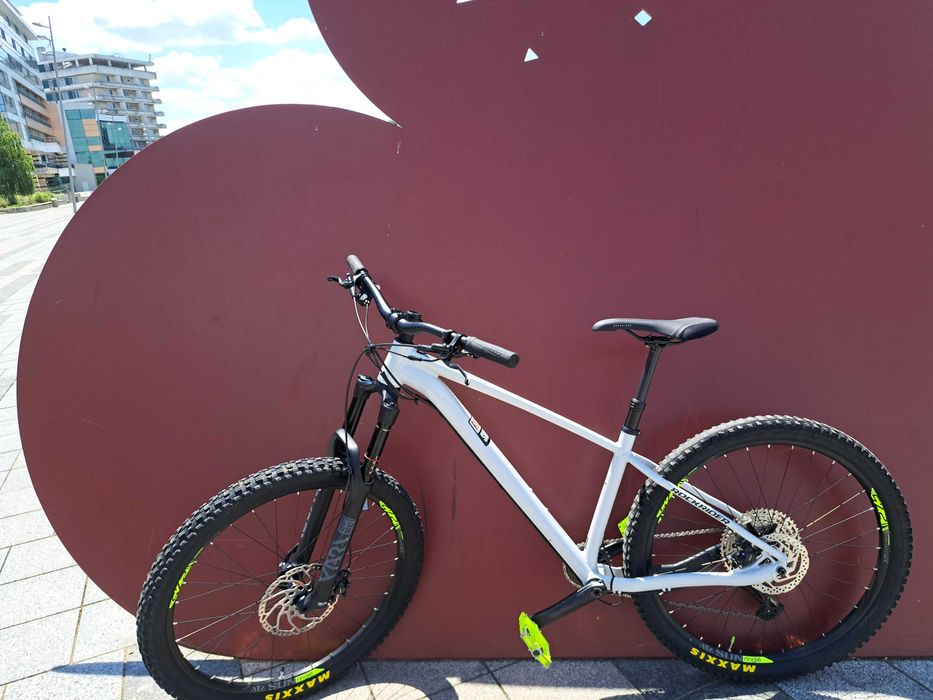 Mountain bike hardtail