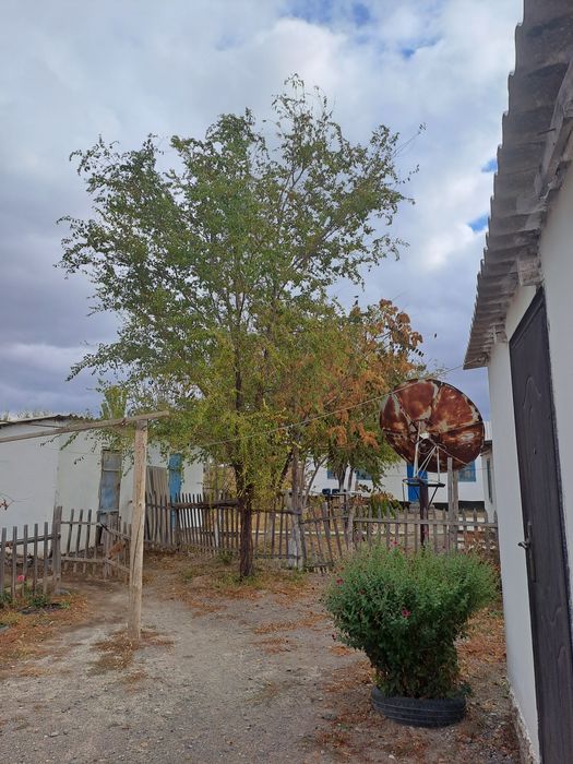 Үй сатылады, Жанакорган ауданы