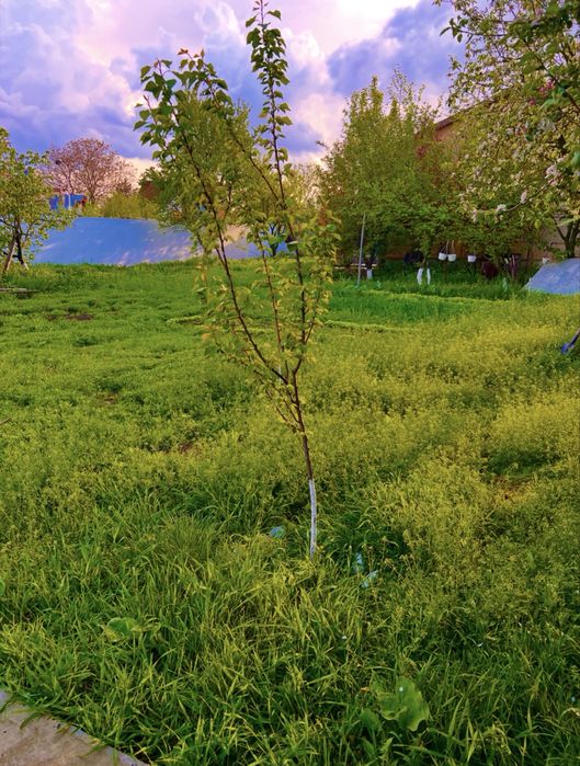 Casa+teren de vanzare in moara domneasca