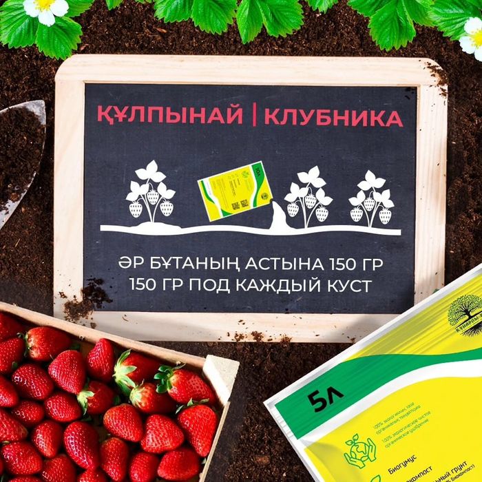 Биогумус природное удобрение