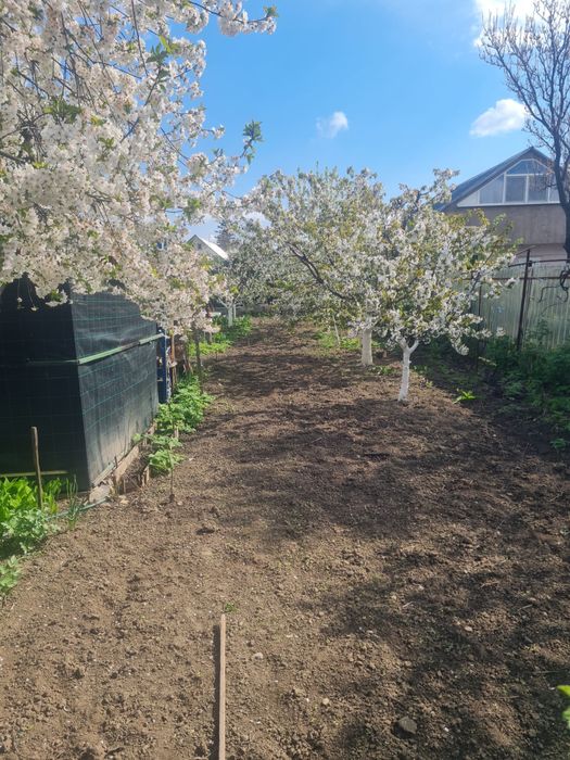 Casa batraneasca - cartierul CFR