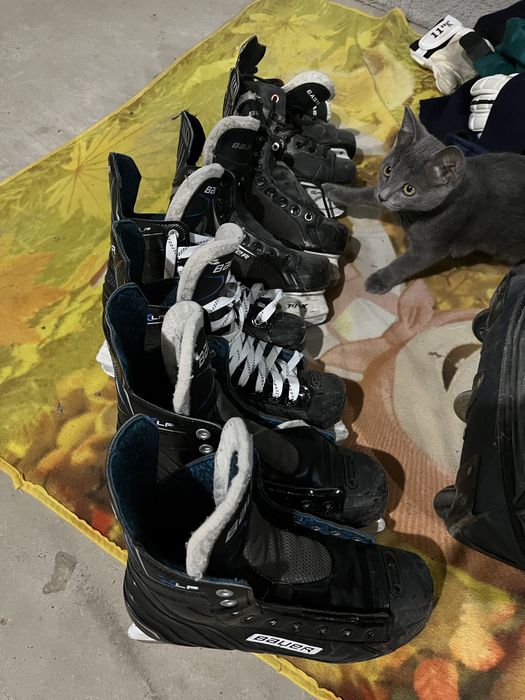 Продам  коньки и экипировку