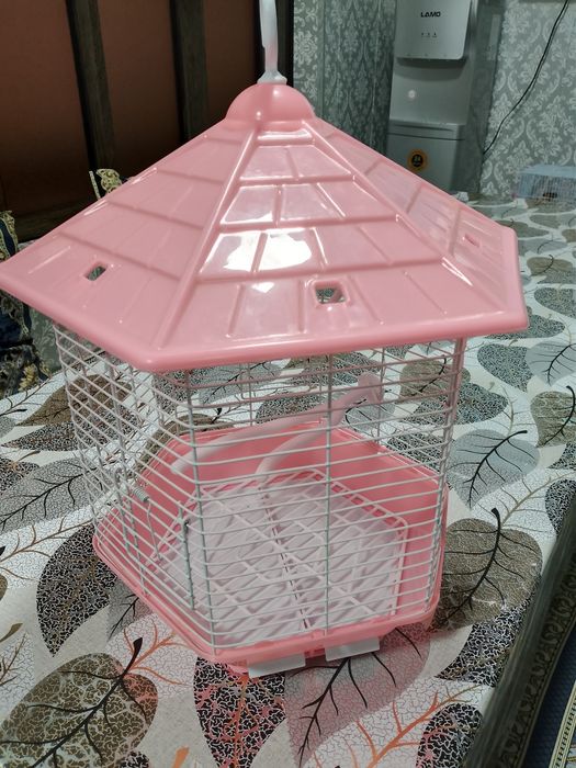 Kletka qafas qush uchun