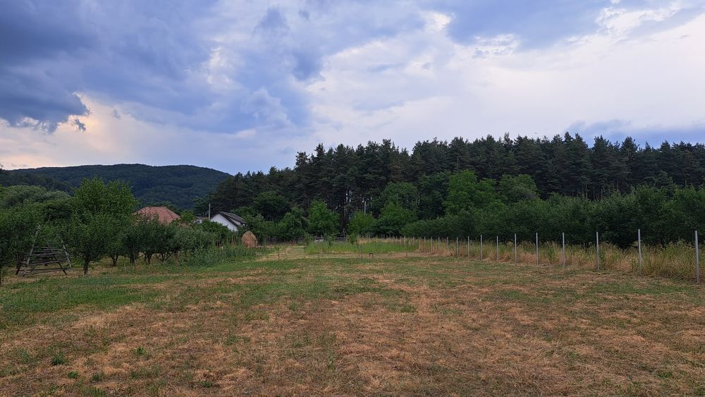 Teren zona de munte 130