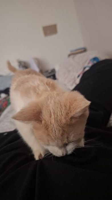 Малышка ищет себе дом