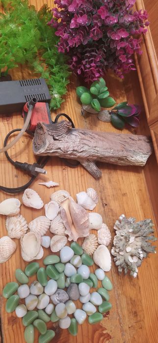 Для аквариума аксессуары.