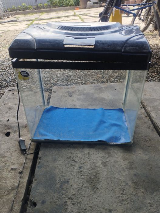 Аквариум для рыбок