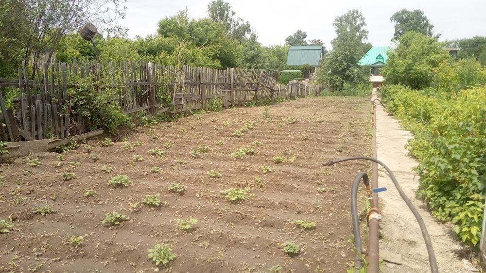 Продаю срочно дачу ДО МИЧУРИНЕЦ