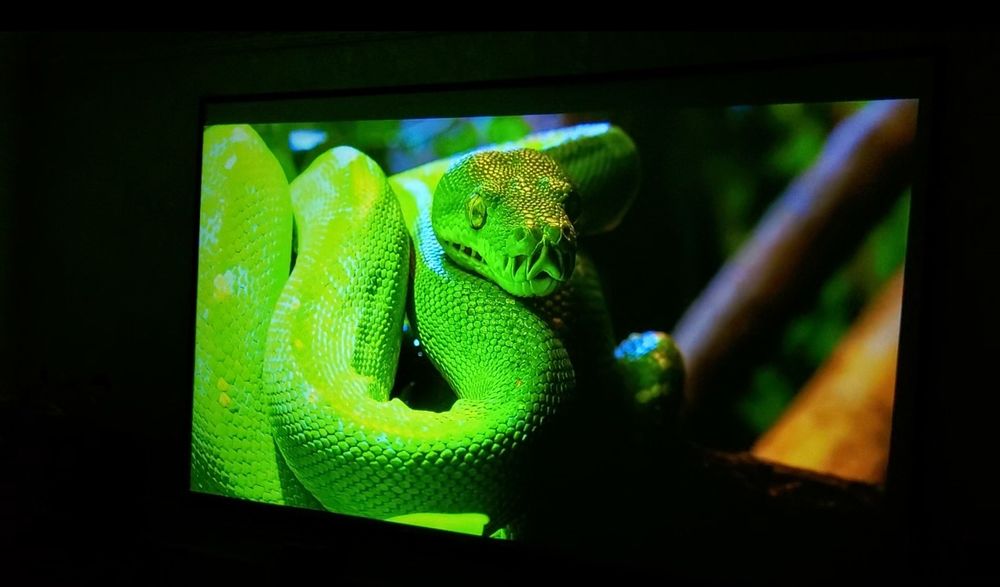 Проектор Everycom Q10 w MAX