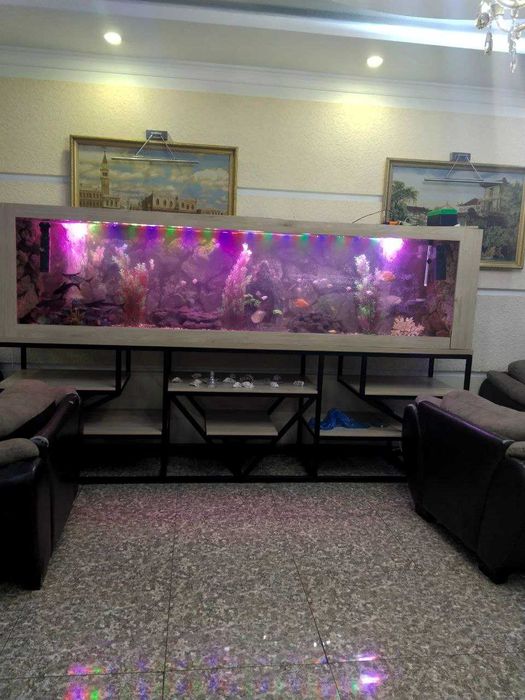 Профессиональная чистка аквариума AQUALIFE