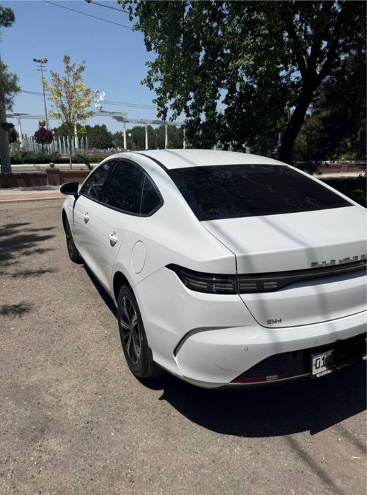 Белый Byd Chazor full