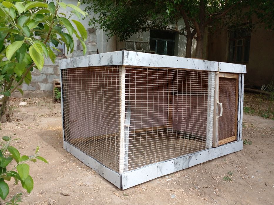 Клетка сатылады бахасы 500000сум