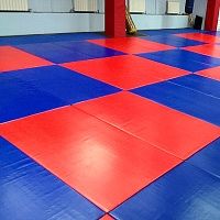 Татами для дзюдо ПАХ 170кг/м3 дно закриытое Алматы на заказ