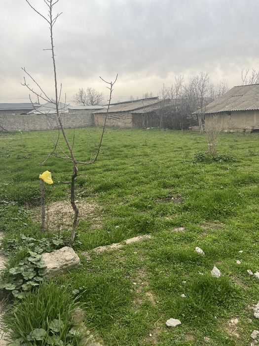 Клх. Узбекистан. Учинчи коча. Yangi Toshkent da 6 sotx yer srochno