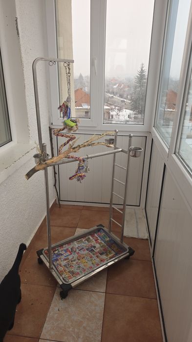 Pereche Marele Alexandru