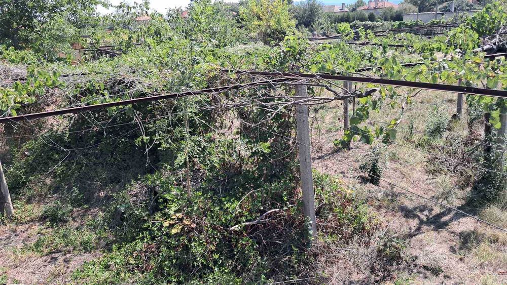 Продава се Парцел в с. Ветрен, Област Стара Загора - 980 кв.м за 14 €/кв.м - Снимка #7