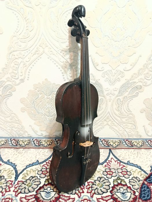Lumar skripka sotilad