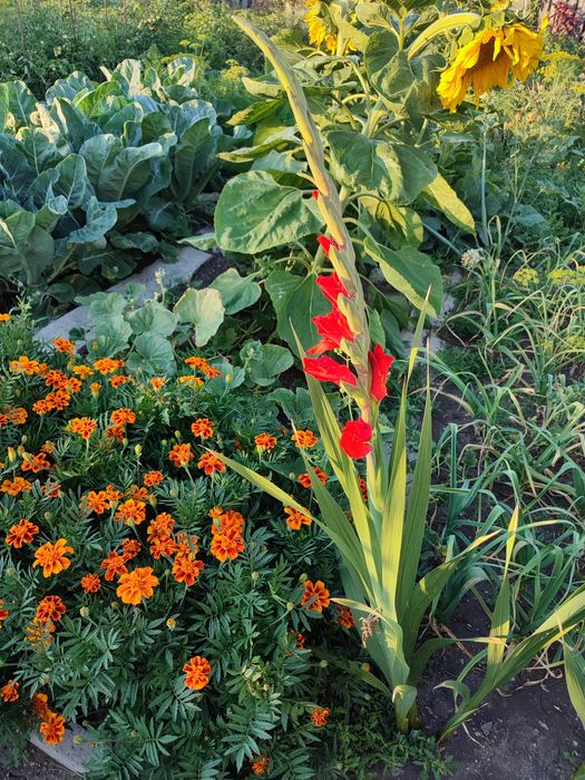 Продаю дачу на Федоровке