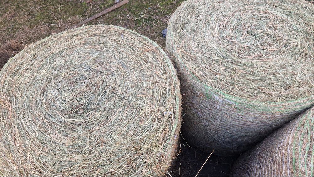 Baloții de fân si otavă ROTUNZI SAU PĂTRAT