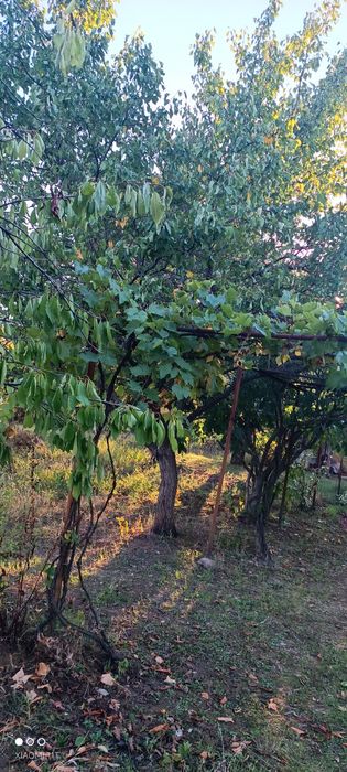 Продава се Къща в Враца, Студентски град - 68 кв.м за 225 €/кв.м - Снимка #3