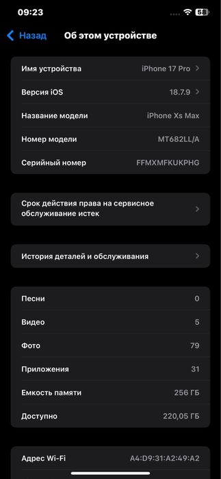iPhone Xs Max 256 Gb