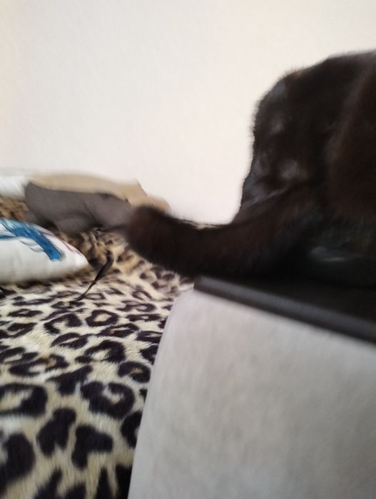 Продам шапку норковую