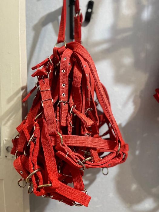 Продается ноқта, жүген на скот.