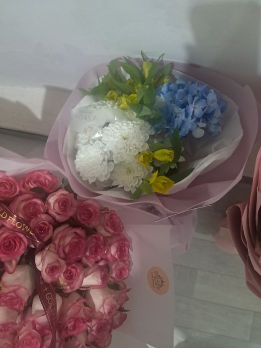 Продам цветы разные