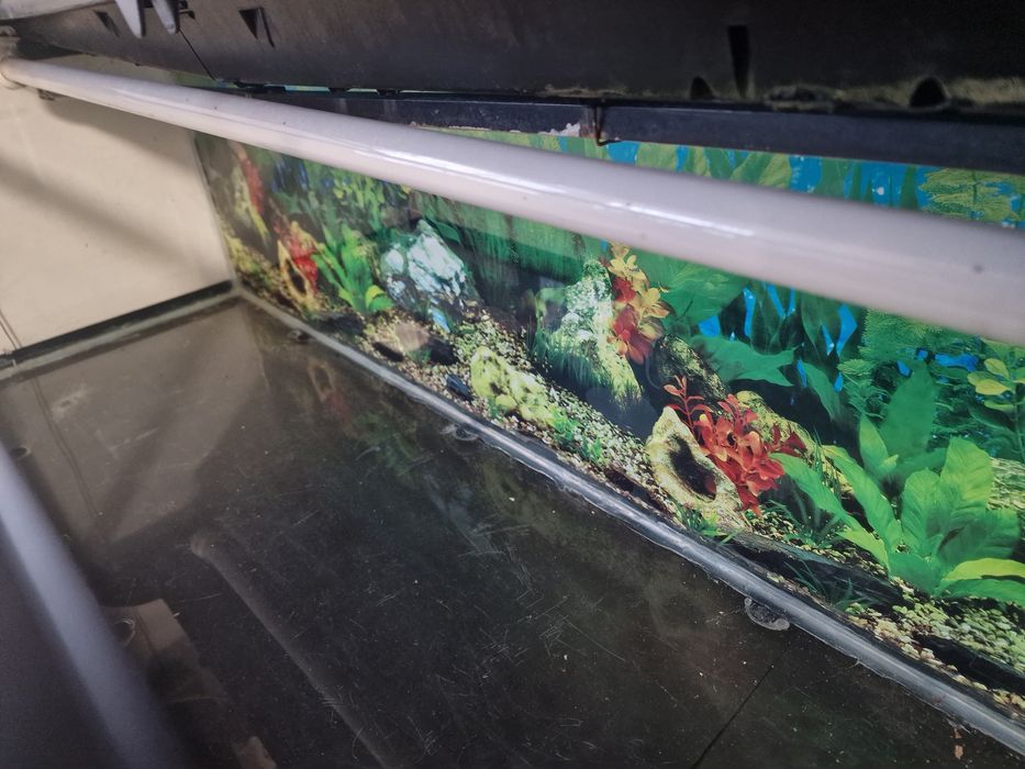 Acvariu 180 L cu capac si lumini