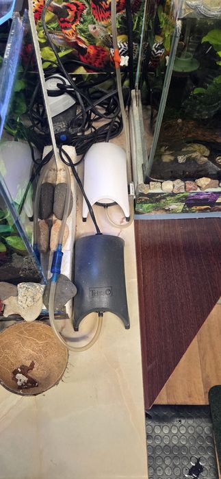 Продавам 25 л.аквариум с всичко живо в него,риби,растения,скариди