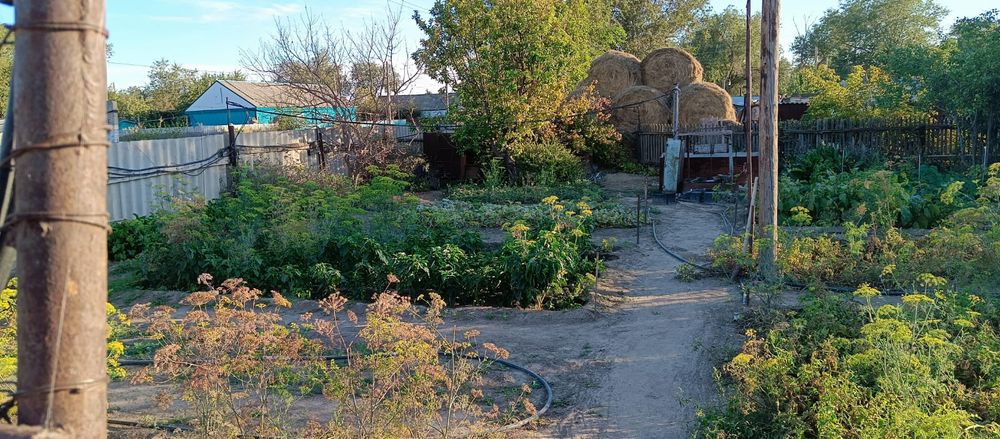 Продается Дом !!!