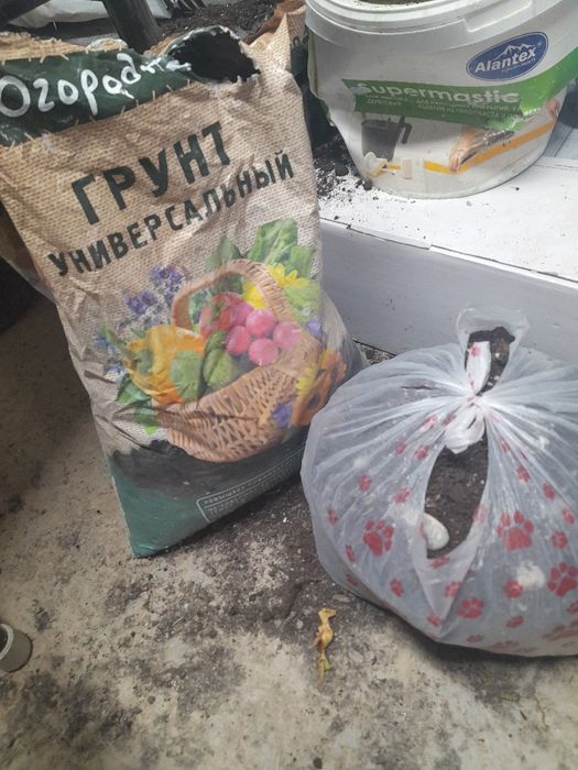 Гаршок для цветы