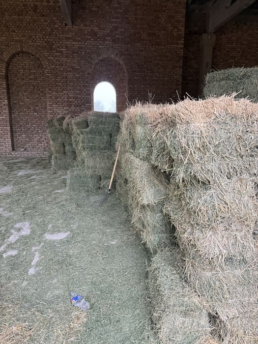 Беда прес холати зур гарнтия