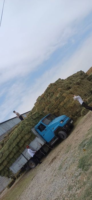 Зил бичок сатылады