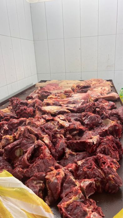 Жылқы еті/Конина, Сиыр еті/Говядина, Соғым/Согым