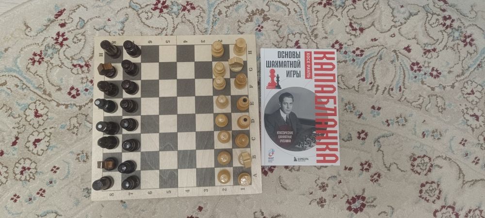 Шахматы и книга для обучения шахматам [Набор]