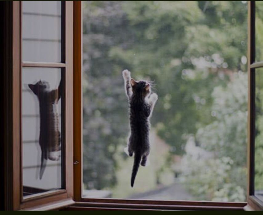 Москитная сетка, Жалюзи всех видов!
Moskitnaya setka, Jalyuzi! 24/7