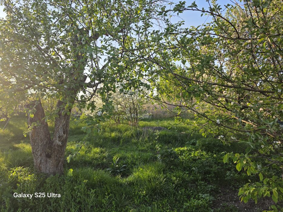 Продажа дом уалханова39